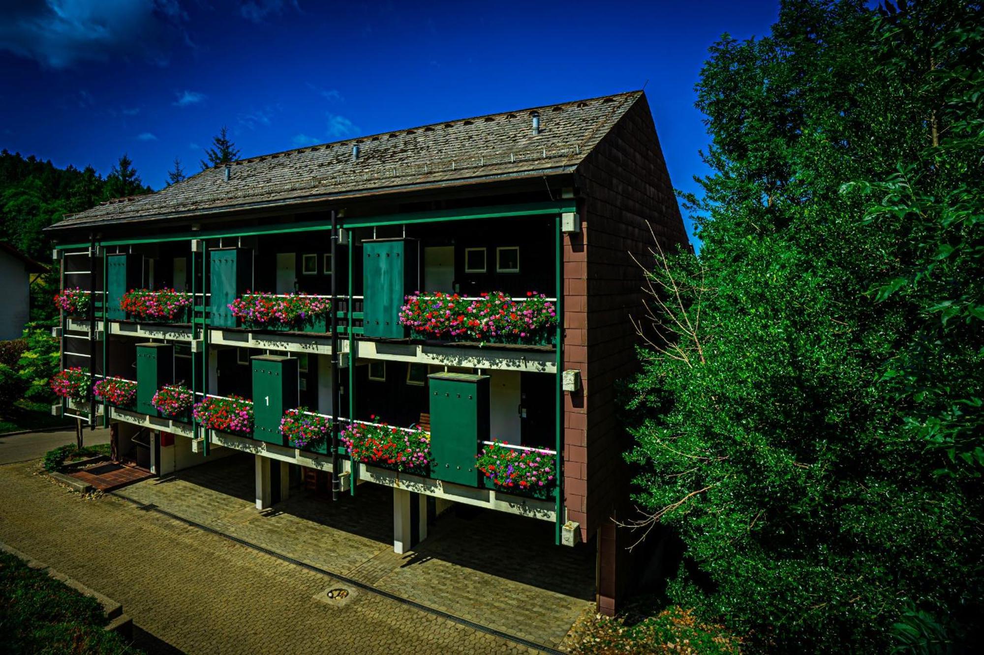 Natur Tanken Im Schwarzwald Sasbachwalden Buitenkant foto