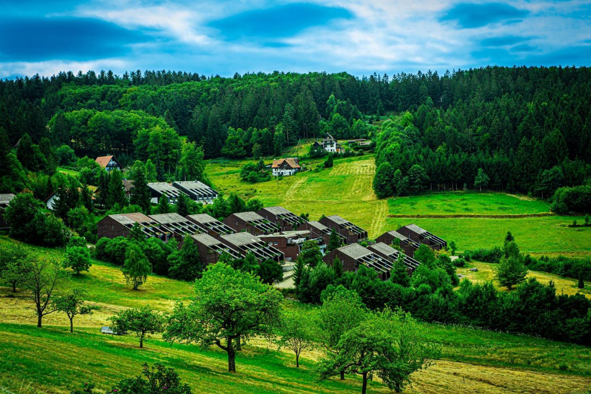 Natur Tanken Im Schwarzwald Sasbachwalden Buitenkant foto